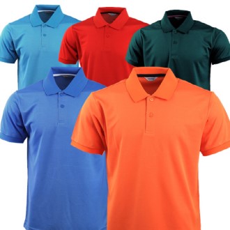 ��� �ظ� ī��Ƽ 10�� PT